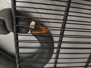 Arçelik Derin Dondurucu