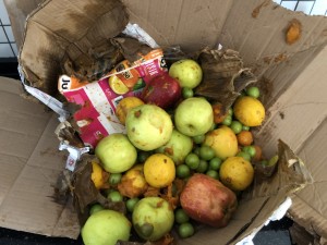 Sürat Kargo Dikkatsizlik