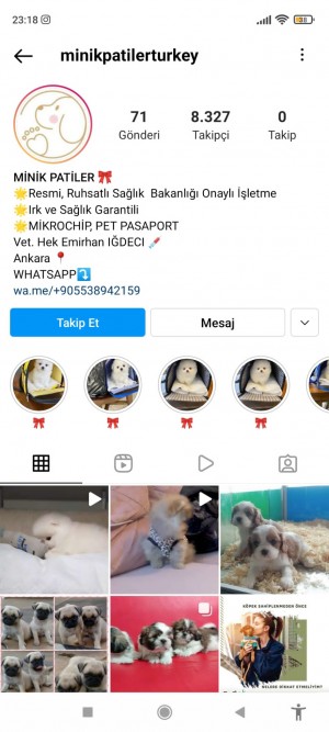 Minikpatilerturkey Instagram Sayfası
