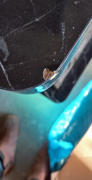 Vivense Eksik Para İadesi