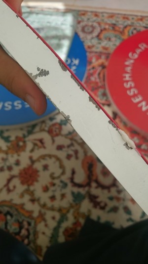 Fitness Hangar İade Kabul Etmiyor