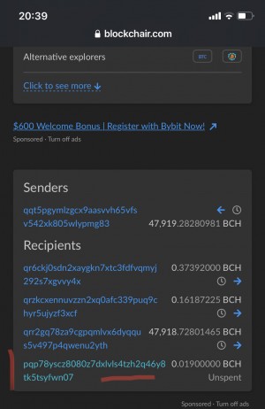 Blockchair Gerçekleşmeyen Transfer Ve Ödenmeyen Coinim