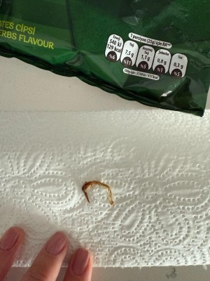 Gıda Ürünü İçinden Yabancı Cisim Çıkması