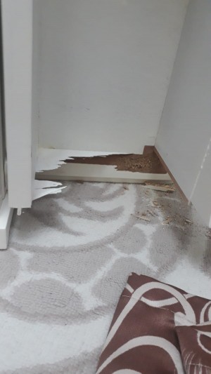 Mng Kargo Gönderdiğim Ürünüm Kargo Şirketi Tarafından Kırıldı