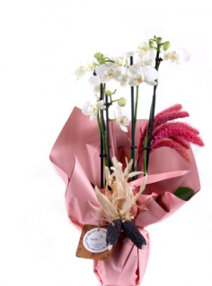 Tazecicek.com Görseldeki Ürün Teslim Edilmedi