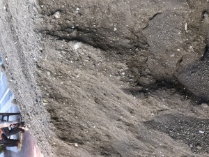 Aydos Hafriyat Gübreli Elenmiş Toprak Diye Sattılar Ancak Ne Elenmiş Toprak Ne De Gübre Var!