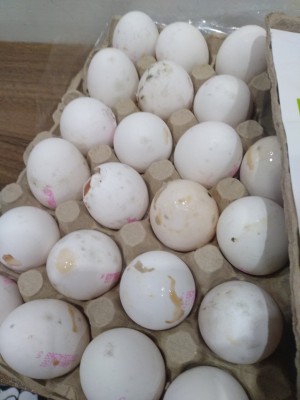 A101 Market Hasarlı Ürün Satmaları