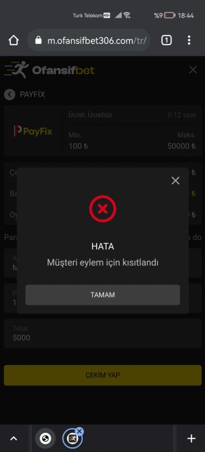 Ofansifbet.com Hesabı İncelemeye Aldı Paramı Ödemiyor
