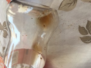 Coca Cola İçinden Yosun Gibi Bir Şey Geldi Ağzıma