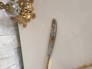 Vialend Deki Linens Mağazasından Aldığım Pierre Cardin Marka Gold Bıçak Seti Kullanmadan Paslandı