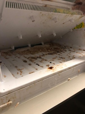 Altus İnsan Sağlığını Hiçe Sayan Arçelik