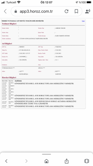 Horoz Lojistik İstanbul İçinde, Bir Noktadan Diğerine Bir Haftada, Nasıl Teslim Edilemez?