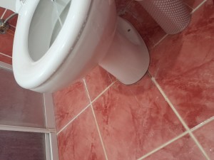 Koçtaş Kale Klozet