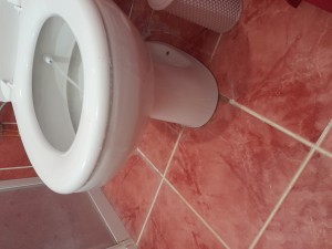 Koçtaş Kale Klozet