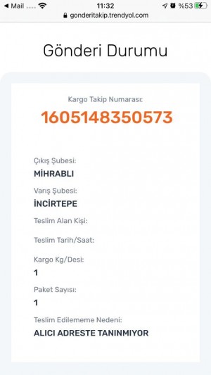 Trendyol Altın Küçük Renso Kristal Taşlı Perde Askılığı Kargom Gelmedi Şubeden Alın Deniyor