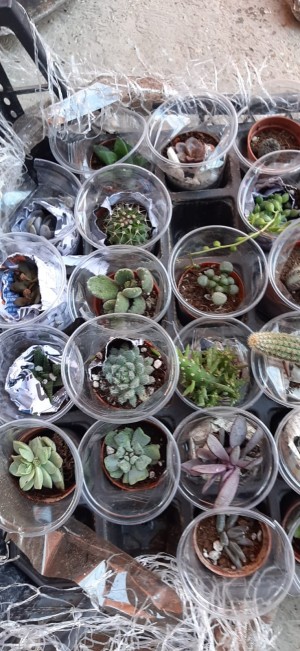 Mng Kargo Kargom Hasar Almış