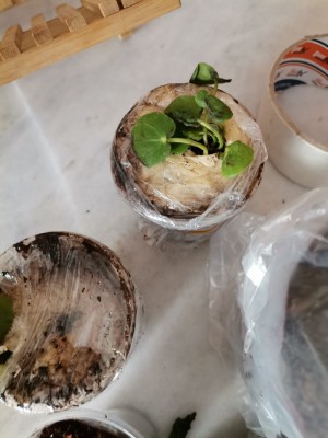 Konya Mng Kargo Kargom Kırılmış