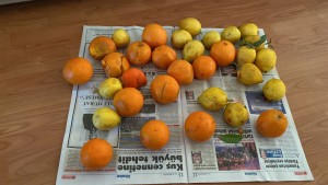 Sürat Kargo Kaybolan Kargom Hakkında