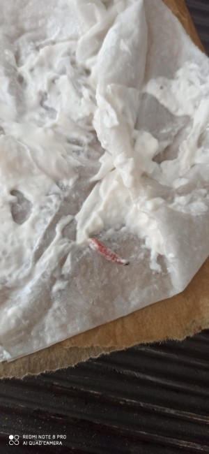 Ülker Kefirden Kurt Cıktı