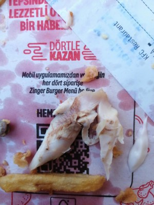 Kfc'den Pişmemiş Tavuk