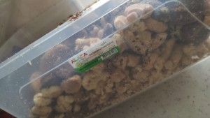 Sürat Kargo Kırılma