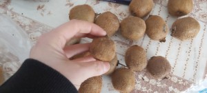 Migros Kivinin Rezilliği