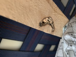 Mobayn Mobilya Koltukların Altı Çürük Ve Parasını Ödediğim Mutfak Köşe Takımı Nisandan Beri Ortada Yok