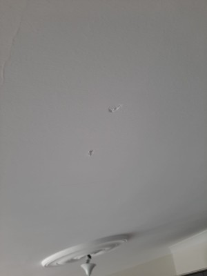 Mobayn Mobilya Koltukların Altı Çürük Ve Parasını Ödediğim Mutfak Köşe Takımı Nisandan Beri Ortada Yok