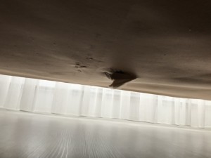 İstikbal Konuyla İlgili Hiçbir İşlem Yok