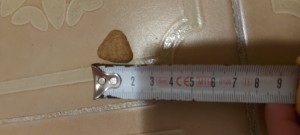 Çiçek Sepeti Köpek Maması İçeriği Bozuk