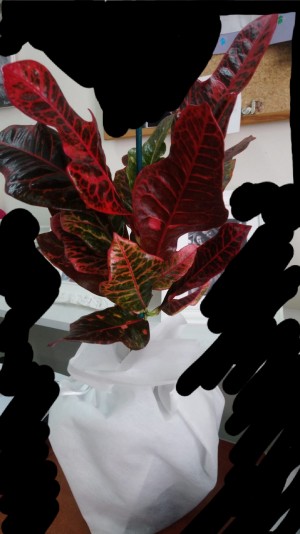 Çiçek Sepeti Kötü Ve Geç Ürün Teslimatı