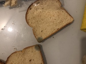 Getir Küflenmiş Ekmek