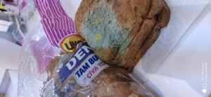 Hemen Migros Küflenmiş Ekmek