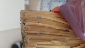 Şok Market Küflü Çıktı