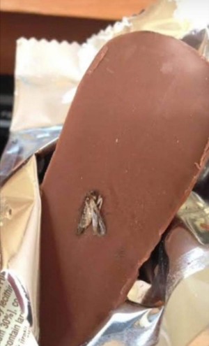 Ülker Lavivadan Böcek Çıktı