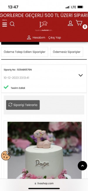 Liva Pastanesi Doğum Gününüzü Pastasız Kutlatır!