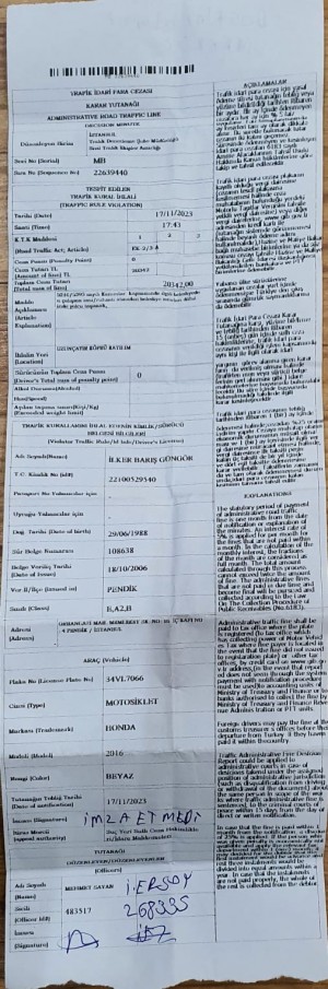 Martı Cezayı Ödemiyor