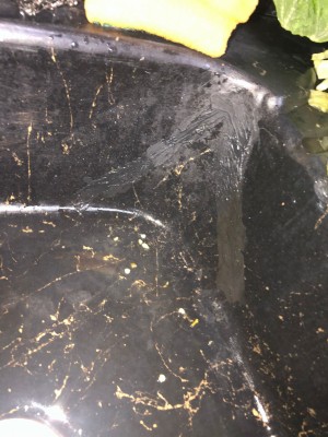 Tunis.mermerit Mermerit Mutfak Tezgah