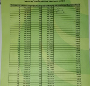 Eminevim Organizasyon Ücreti Ve Faizli Sistem