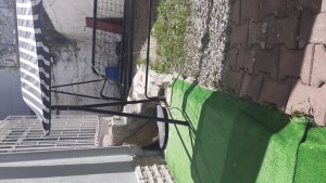 A101 Market Para İadesi Yapmadılar Beni Oyaladılar Olan 600 Tl'ye Oldu