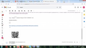 Pegasus Online Check In Yaptığım Bileti Yaktı