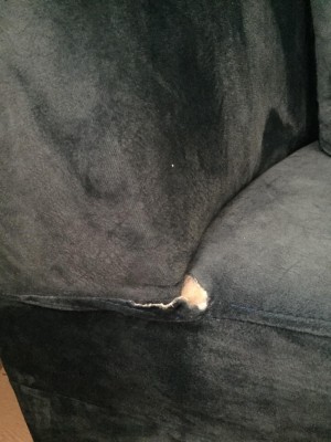 Poli Mobilya Avm Spotçular Çarşısı Çınar Home Mağazası Mağdur Etti