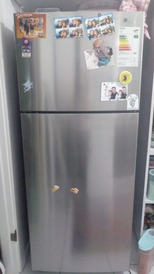 Samsung Rt55ksrsl Buzdolabı