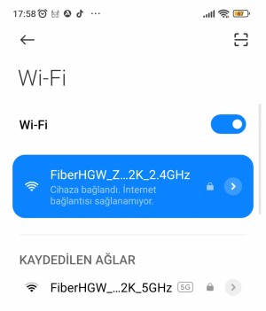 Rüzgar Net Olumsuz Yorum Yaptığım İçin İnternetimi Kesti