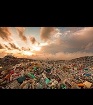 Kelebek Mobilya Mağazası Ürünleri Teslim Etmiyor