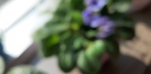 Samsung A7 Telefonda Güncelleme İle Kameram Bozuldu