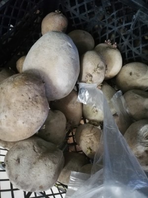 A101 Market Sebze Meyve Kalitesi