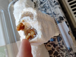 Hacı Paşa Suluhan Şekercisi Şeker Sucuğu