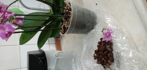 İkizler Peyzaj (facebook) Sipariş Ettiğimiz Çiçekler Kırık Ve Kötü Geldi İkizler Peyzaj (facebook) Sipariş Ettiğimiz Çiçekler Kırık Ve Kötü Geldi