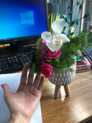 Tazecicek.com Solmuş Ve Kırılmış Çiçek